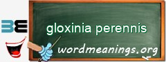 WordMeaning blackboard for gloxinia perennis